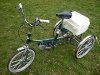 tga pacer trike.JPG