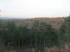 Devils Punch Bowl 03.11.16 092.JPG