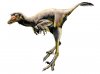 new-raptor-broken-toe_40582_990x742.jpg